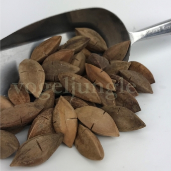 Pili-noten 300 gr